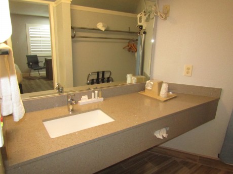 Sink + Amenities